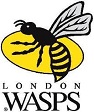 Wasps have perhaps been busiest of all this year in the transfer market